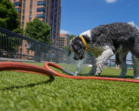 Eastern US sweats through another hot day before rain, cold move in
