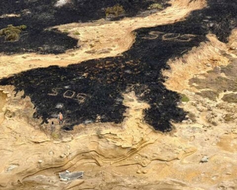 A third of National Park island home to rare wildlife has burned in spate of Southern California wildfires