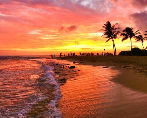 Hawaii and Florida top list of best US beaches for 2026, according to ‘Dr. Beach’