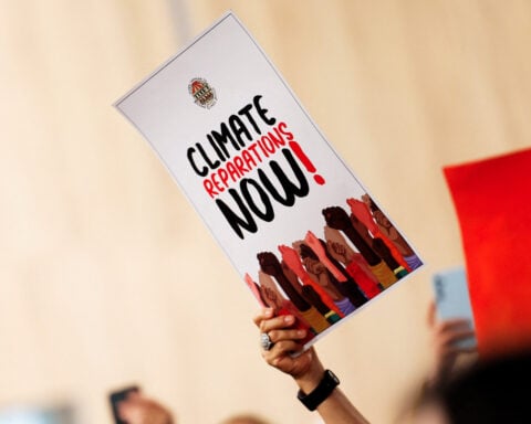 Wealthy countries' climate finance hit record high in 2024, OECD says