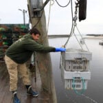 Fishing boats worldwide tuck dockside as diesel prices surge on Iran war