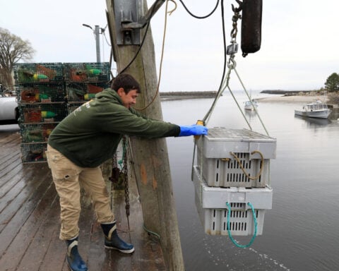 Fishing boats worldwide stuck dockside as diesel prices surge on Iran war