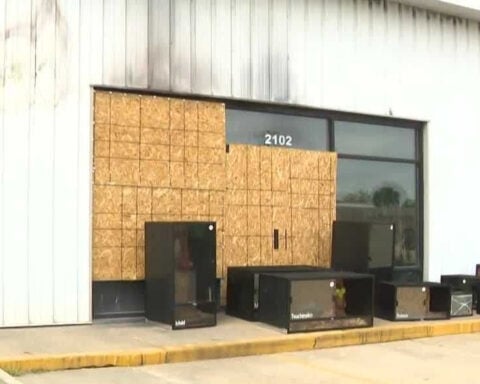 Reptile sanctuary begins cleanup after fire kills 22 animals, displaces more than 140 in Des Moines
