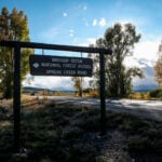 Do Jackson Hole’s busiest trails create a wildlife ‘sacrifice zone’? Study finds coexistence.