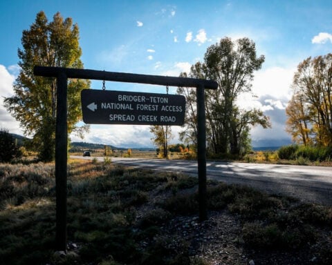 Do Jackson Hole’s busiest trails create a wildlife ‘sacrifice zone’? Study finds coexistence.