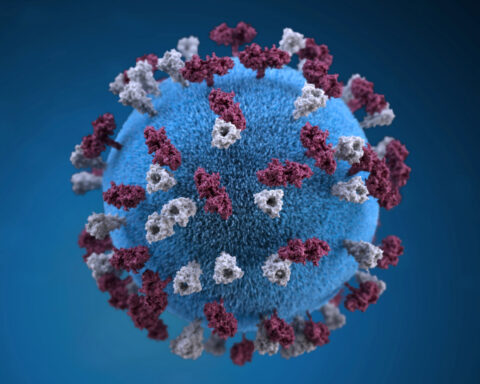 Suspected and confirmed measles deaths top 500 in Bangladesh