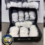 50 pounds of methamphetamine seized, man arrested in Michigan in narcotics investigation
