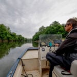 Atlanta metro downpour leads to massive fish kill on the Chattahoochee River