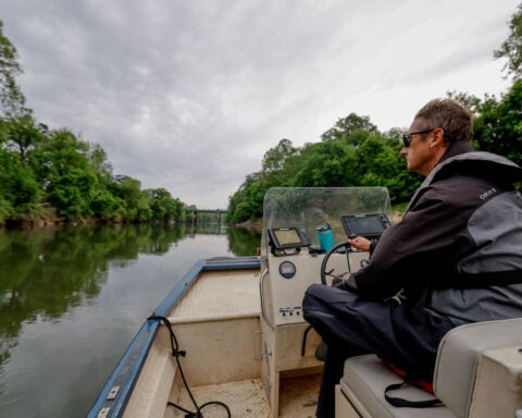 Atlanta metro downpour leads to massive fish kill on the Chattahoochee River
