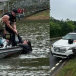 Driver of stolen car jumps in Georgia lake to try and escape officers after chase, police say