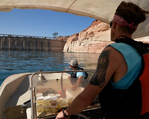 Releasing cool water protects fish in the Grand Canyon. That comes at cost to hydropower