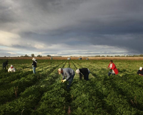 From the San Luis Valley to Vail, Latino labor powers every sector of Colorado’s economy