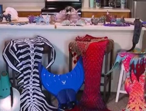 Mermaid for hire: Blue Zoo closure leaves mermaid out of work
