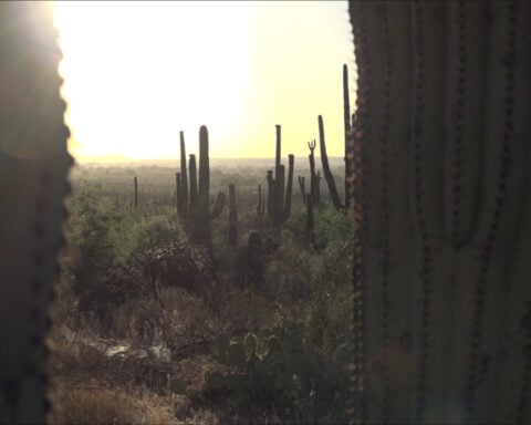Solemn 75-mile walk honors migrants who died crossing the Sonoran Desert into the US