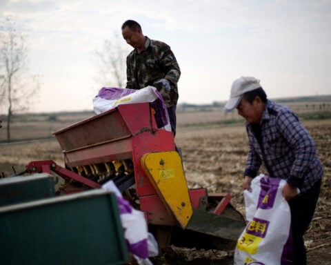 China allows fresh urea exports amid Iran war-fuelled fertiliser crisis, sources say