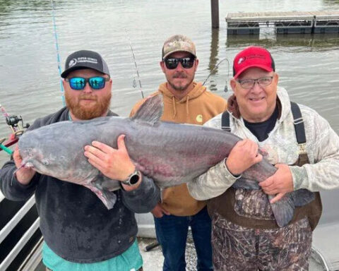 Record-breaking 71-pound blue catfish caught in West Virginia
