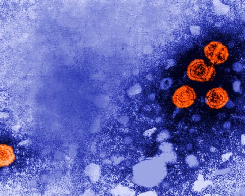 Experimental hepatitis B drug may offer 'functional cure' for some patients