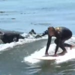 City plans female surfer statue to honor women in surfing