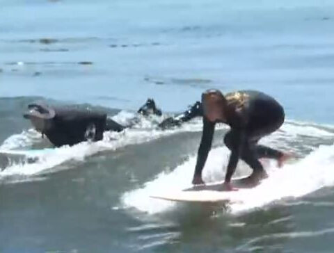 City plans female surfer statue to honor women in surfing