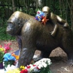 'It wasn't even a close call' | Former prosecutor explains why no one was charged in Harambe's death
