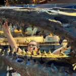 Massive marine predator crowned T. rex of the ocean and ‘a true terror of its time’
