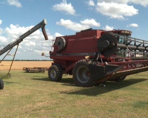 Kansas farmers face tough wheat season amid drought, rising costs