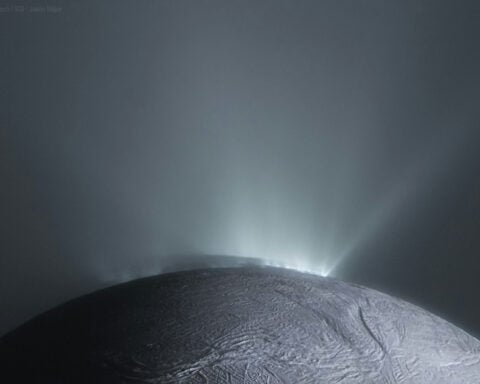 Scientists used a method from ecology to identify whether icy moons could hold conditions for life