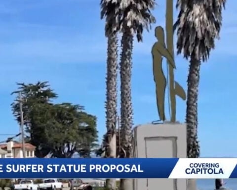 California plans female surfer statue to honor women in surfing
