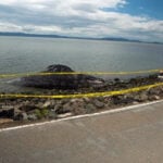 Dead gray whale found in water off California coast