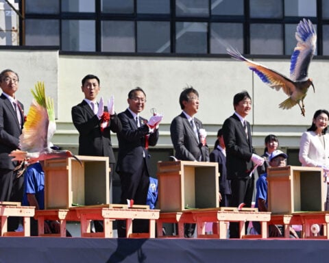 8 crested ibises released in Japanese town decades after extinction in Japan