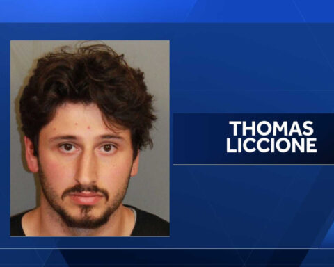 Man charged after throwing five kittens from car window on I-65, police said
