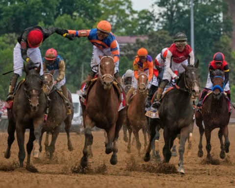 Renegade is the 2-1 favorite for the Belmont Stakes rematch with Derby winner Golden Tempo