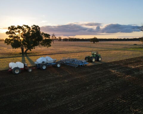 Australia says its wheat output will be shrunk by Iran war costs, dry weather