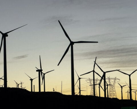 US states sue Trump administration and TotalEnergies over offshore wind cancellation