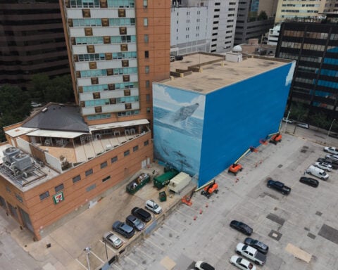 Artist suing FIFA over destruction of Dallas whale mural before World Cup