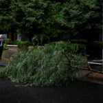 Tropical storm Jangmi batters Japan, cuts power to 60,000 homes