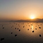 EU diplomatic arm proposed naval mission take ‘primary role’ in clearing Strait of Hormuz mines, document shows