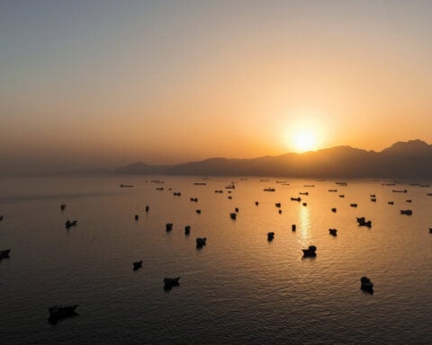 EU diplomatic arm proposed naval mission take ‘primary role’ in clearing Strait of Hormuz mines, document shows
