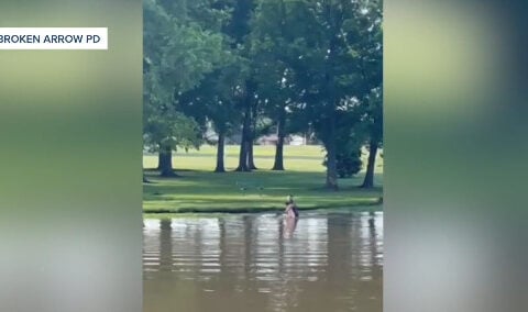 Officer saves boy from drowning at pond
