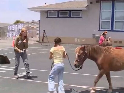 Students connect with horses to boost reading skills