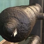 Cannons lost underwater during the American Revolution will soon go on display at a Georgia museum