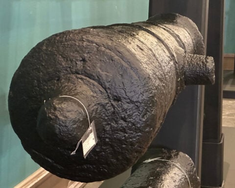 Cannons lost underwater during the American Revolution will soon go on display at a Georgia museum