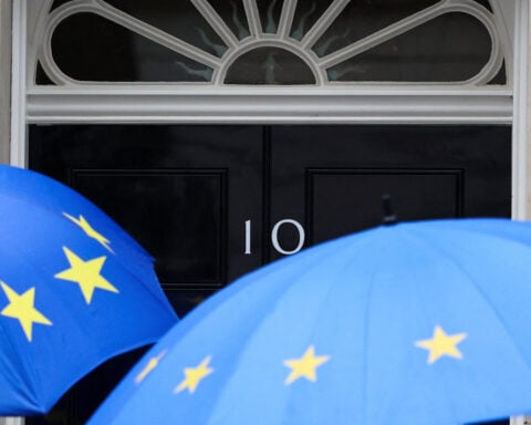 British trade minister says rejoining EU would not fix UK's issues