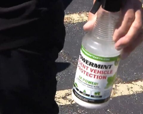 Squirrels hungry for three cars' plant-based parts caused $30,000 in damage, man says