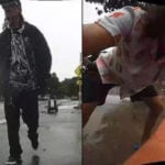 Pair accused of hitting, pouring beer on robots analyzing sidewalks