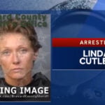 Records show dozens of complaints made about dogs before woman mauled to death in attack