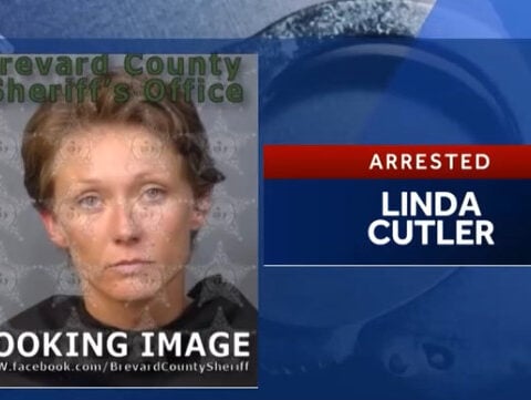 Records show dozens of complaints made about dogs before woman mauled to death in attack