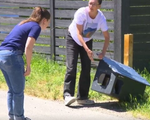 Couple vows to restore beloved 'little library' destroyed by vandals