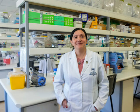 Tools to fight hantavirus show promise despite limited funding. Now researchers hope to continue