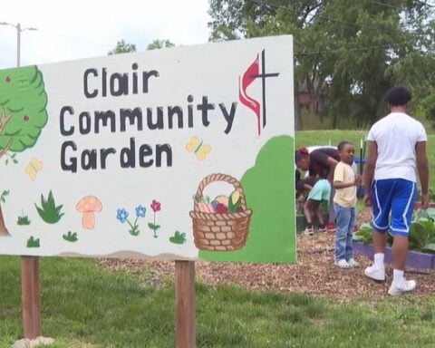 Clair Community Garden teaches kids to grow food while feeding families in need
